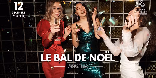 \ud83c\udf32LE BAL DE NO\u00cbL \ud83c\udf84 