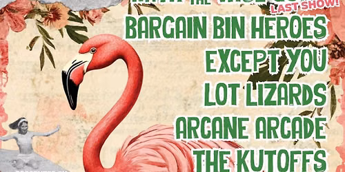 And Out Come The Flamingos Vinyl + Zine Fundraiser Show