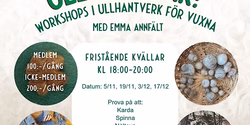 Ullkv\u00e4llar f\u00f6r vuxna p\u00e5 Eolsh\u00e4lls 4H-g\u00e5rd