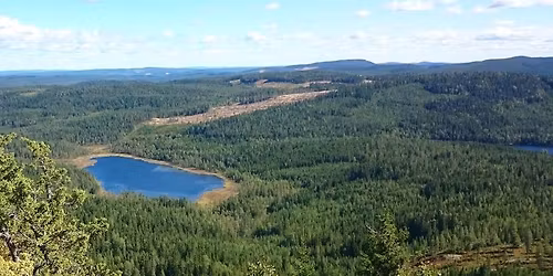 Fall til Elgklinten p\u00e5 etappe 9 Finnskogleden