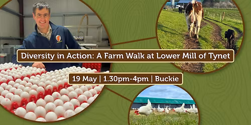 Diversity in action: A farm walk at Lower Mill of Tynet