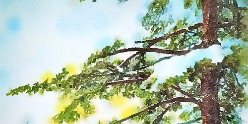 Autumn Colours: Capturing the Beauty of Trees