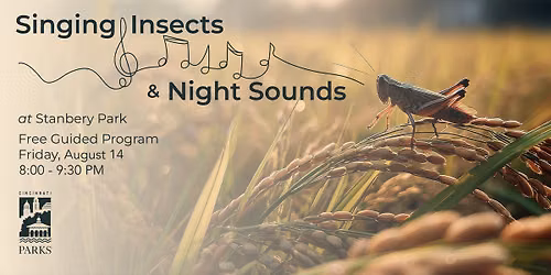 Singing Insects & Night Sounds: Stanbery's Twilight Creatures