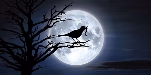 Worm Moon Ceremony ( Emergence & Awakening)