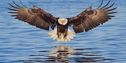 Veterans Christmas Potluck