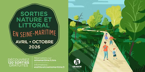 Modelage de libellule