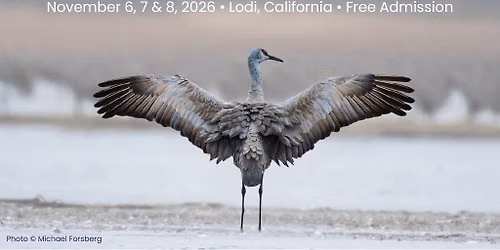 Lodi Sandhill Crane Festival