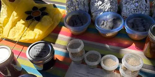 June Make & Swap
