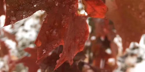 New Year's Reset Retreat