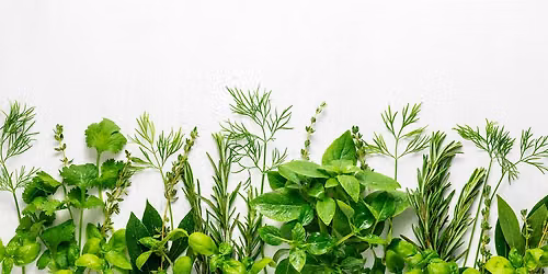 Herb Container Workshop