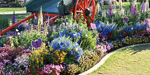 Toowoomba Carnival of Flowers with Blue Bus Tours \ud83c\udf3c