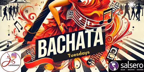 BACHATA lesson social dancing techniques 