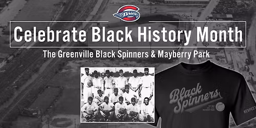 Parking Greenville Drive at Asheville Tourists