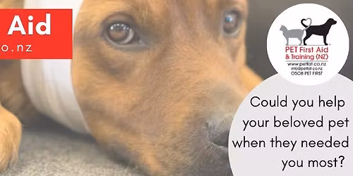 PET First Aid Course - Dunedin 