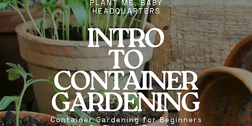 Container Gardening for Beginners \u2014 A Hands-On Planting Experience