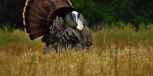 FreeState NWTF Banquet