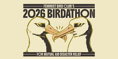 FBC Birdathon Birding in Prospect Park