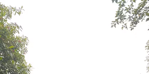 Katkat Pakighimamat Year 17 /Friendship Climb Year 17