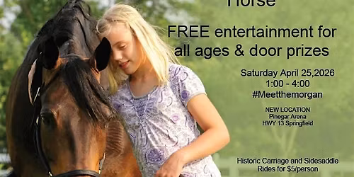 Meet the Morgan Horse