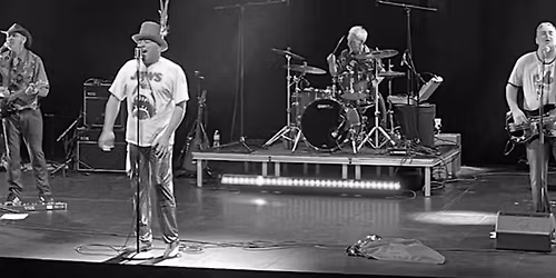 THE HIP REPLACEMENTS