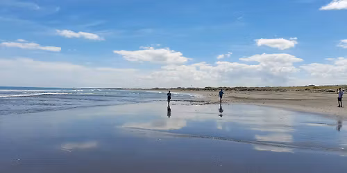 South Mole & River Loop (Easy* to Easy\/Mod~Local Walk \/ Easier & Harder Options)