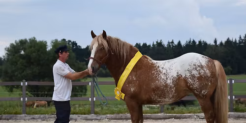 V\u00fdkonnostn\u00ed zkou\u0161ky chladnokrevn\u00fdch klisen