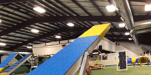 AKC Agility Trial
