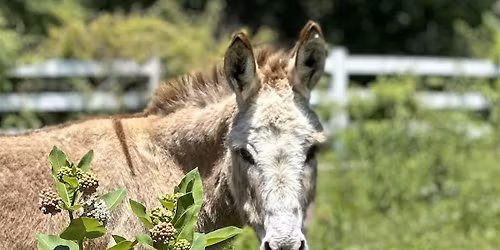 Restorative Retreat for All