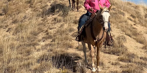Obstacles & Trail Clinic