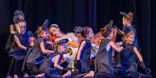 REGISTER FOR FALL BALLET CLASSES!!