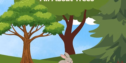 Stories in the Park - DNR presentation on Trees