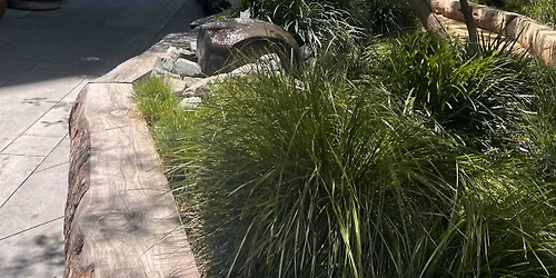 Summer Solstice in West Hollywood