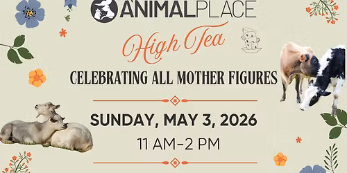 High Tea: Celebration of All Mother Figures