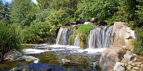 Rooted: A Mind & Body Wellness Experience