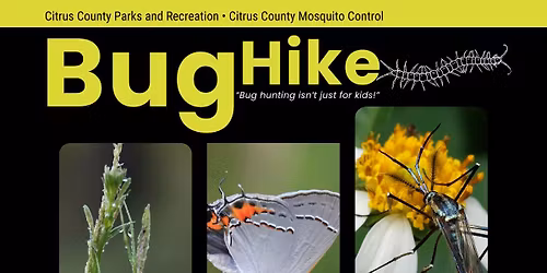 Bug Hike: The Hidden World Beneath Your Feet