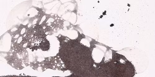 Dzie\u0144 Ziemi | akademickie warsztaty i wyk\u0142ady