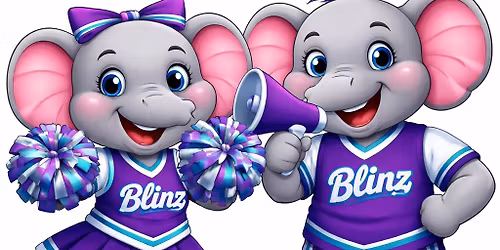 Blinz Cheer Coaches Camp 