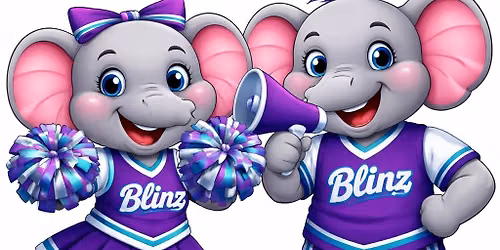 Blinz Cheer Coaches Camp