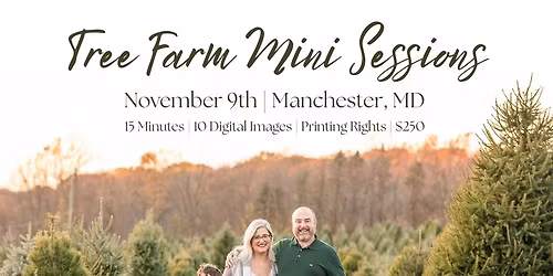 Christmas Tree Farm Mini Sessions