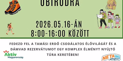 \u00d3bir\u00f3di Teljes\u00edtm\u00e9nyt\u00fara - gyalogos teljes\u00edtm\u00e9nyt\u00fara