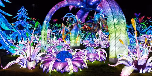 Tianyu Lights Festival - Grand Prairie