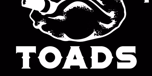 The Basement Toads live f\u00eate de la musique Fribourg