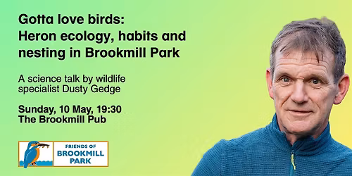 Gotta love birds: heron ecology, habits and nesting in Brookmill Park