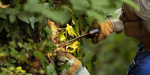 Stewardship Saturday