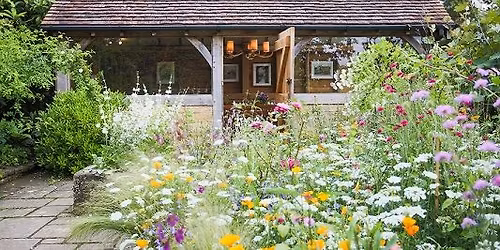 Flower Workshop - Meadow Box
