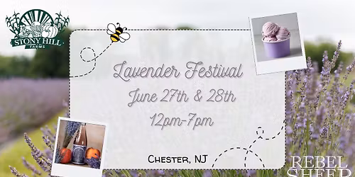 Lavender Festival at Stony Hill Farms