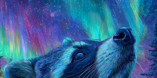 Phenomenal Animal at SandBar Tiki!