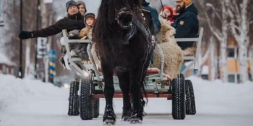 Skylts\u00f6ndag i V\u00e4nn\u00e4s centrum