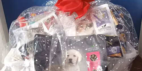 Xmas Kitten Cuddle Party and Raffle.