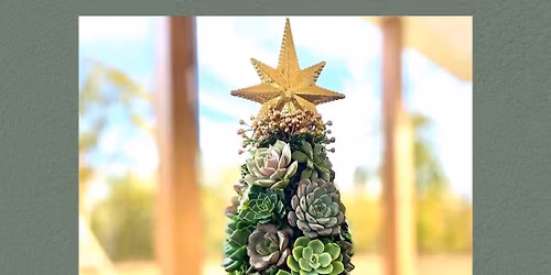 Christmas Tree Succulent Workshop